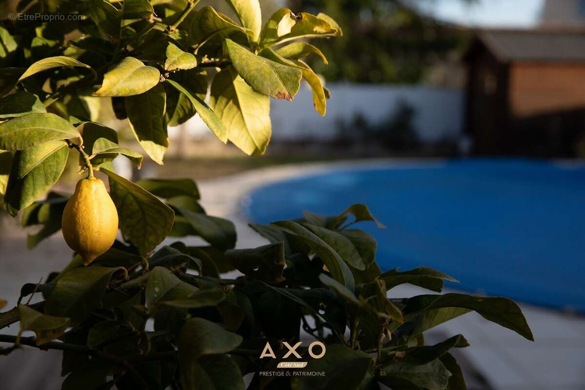 Maison à PUIMOISSON