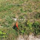 Photo 1 - Terrain à TARSUL