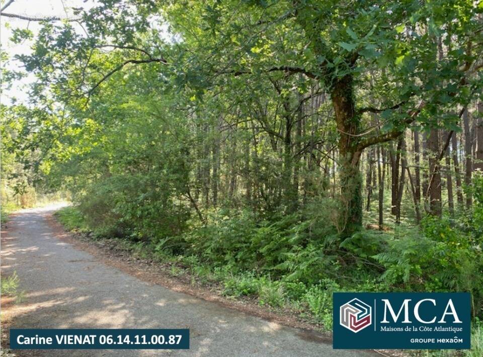 Photo Terrain à Sanguinet au prix de 182 000€