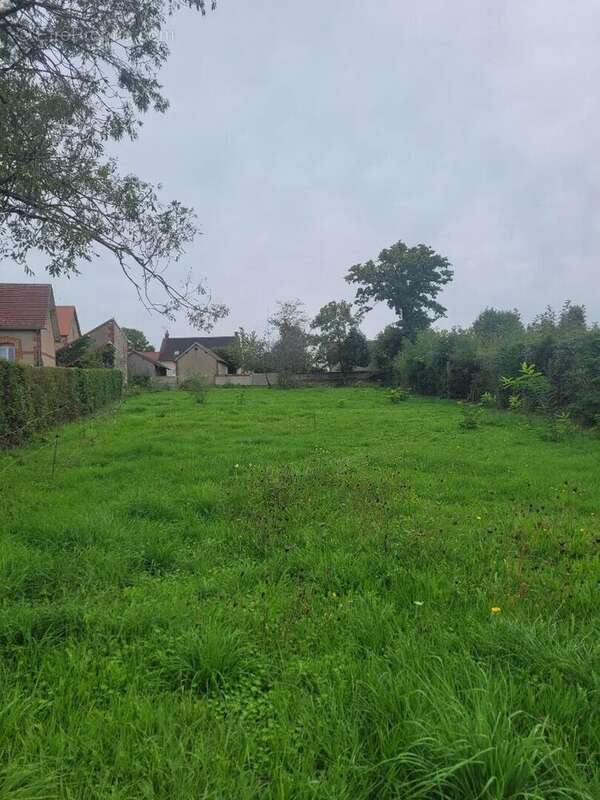 Terrain à LE THEIL