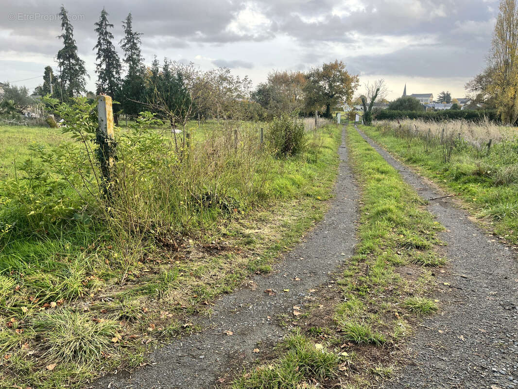 Terrain à BRAIN-SUR-L&#039;AUTHION