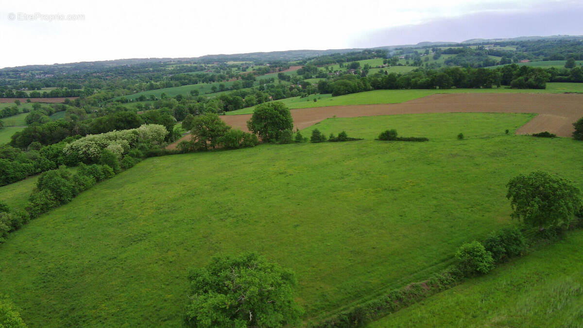 Terrain à SAINT-MARTIN-LE-VIEUX