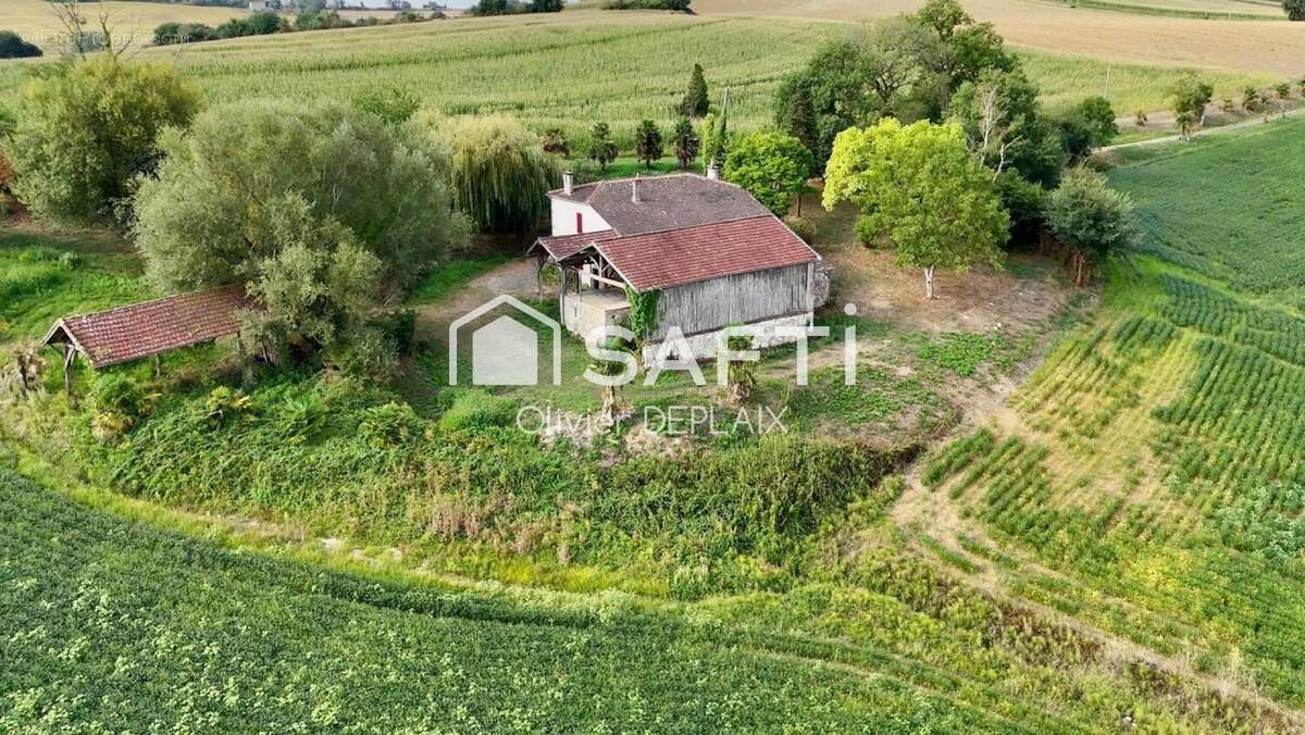 Photo 9 - Maison à MONTAGNAC-SUR-AUVIGNON