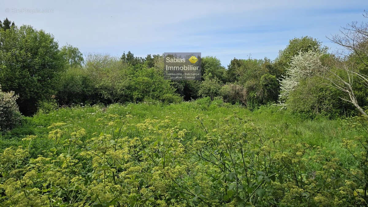 Terrain à L'ILE-D'YEU