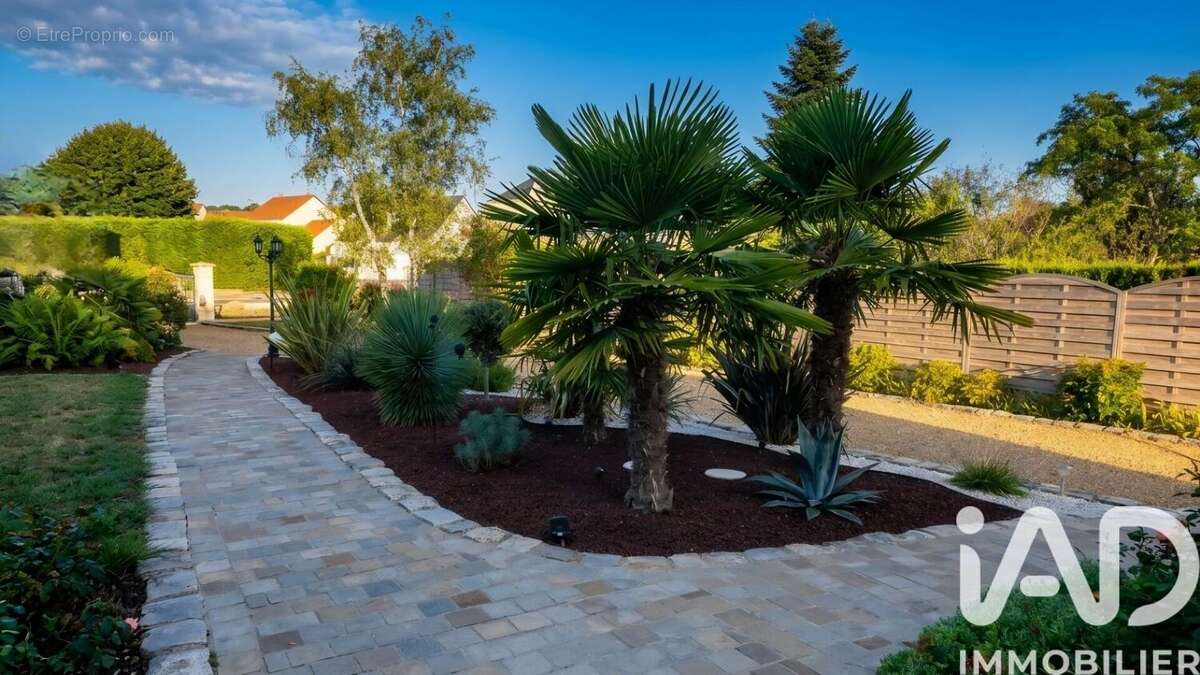 Photo 2 - Maison à SAINT-JEAN-LE-BLANC