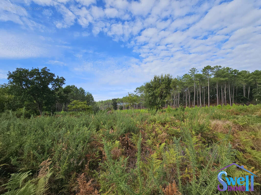 Terrain à MOLIETS-ET-MAA