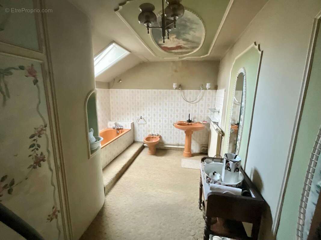 Photo 7 - Maison à MEHUN-SUR-YEVRE