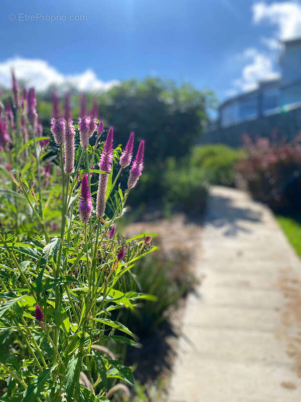 Terrain à SAINT-PAUL