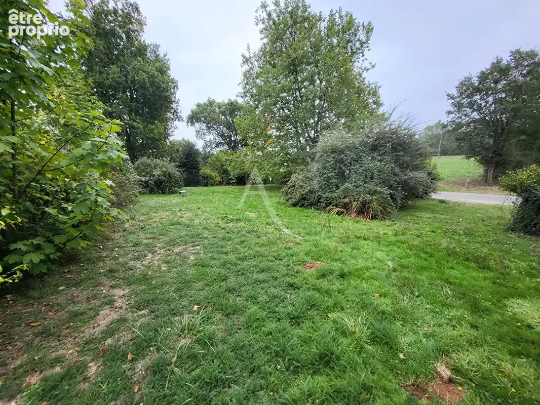 Terrain à NOZAY