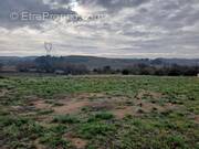 Terrain à SAINT-BRES