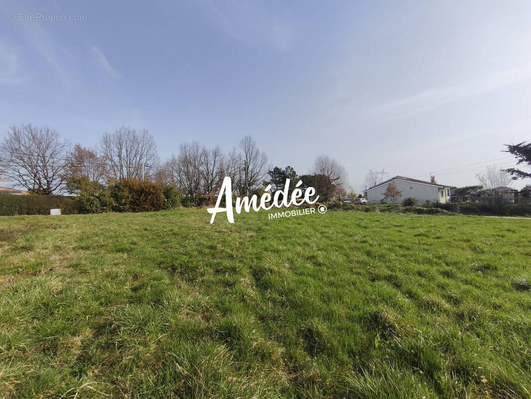 Terrain à MONTAUBAN