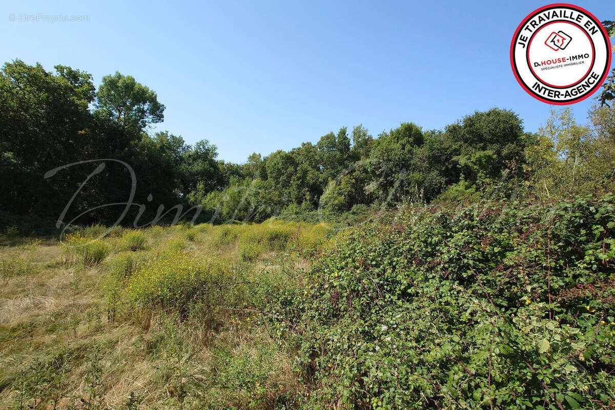 Terrain à SAINT-VIVIEN-DE-MEDOC