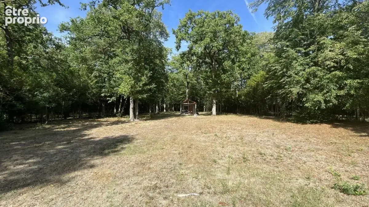 Lamorlaye maison + appartement sur 4500 m2 de terrain - photo 11