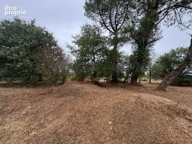 Terrain à vendre à bieuzy - le resto 2426m2 - photo 3