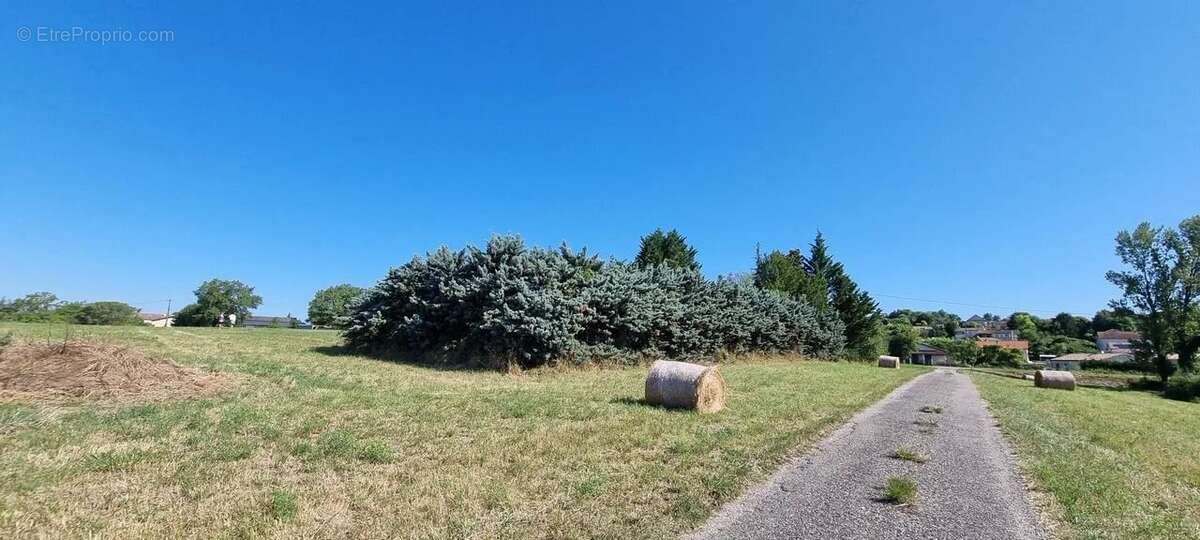 Maison à CASTELNAU-MONTRATIER