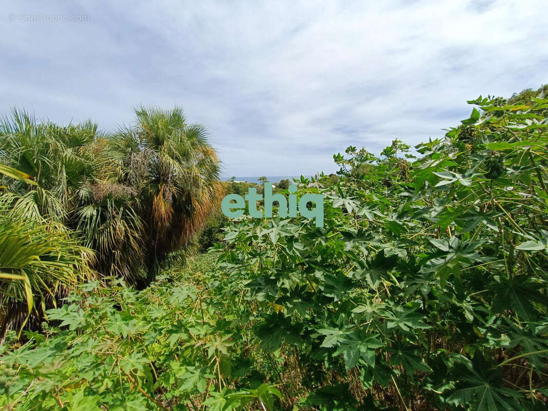 Terrain à LE GOSIER