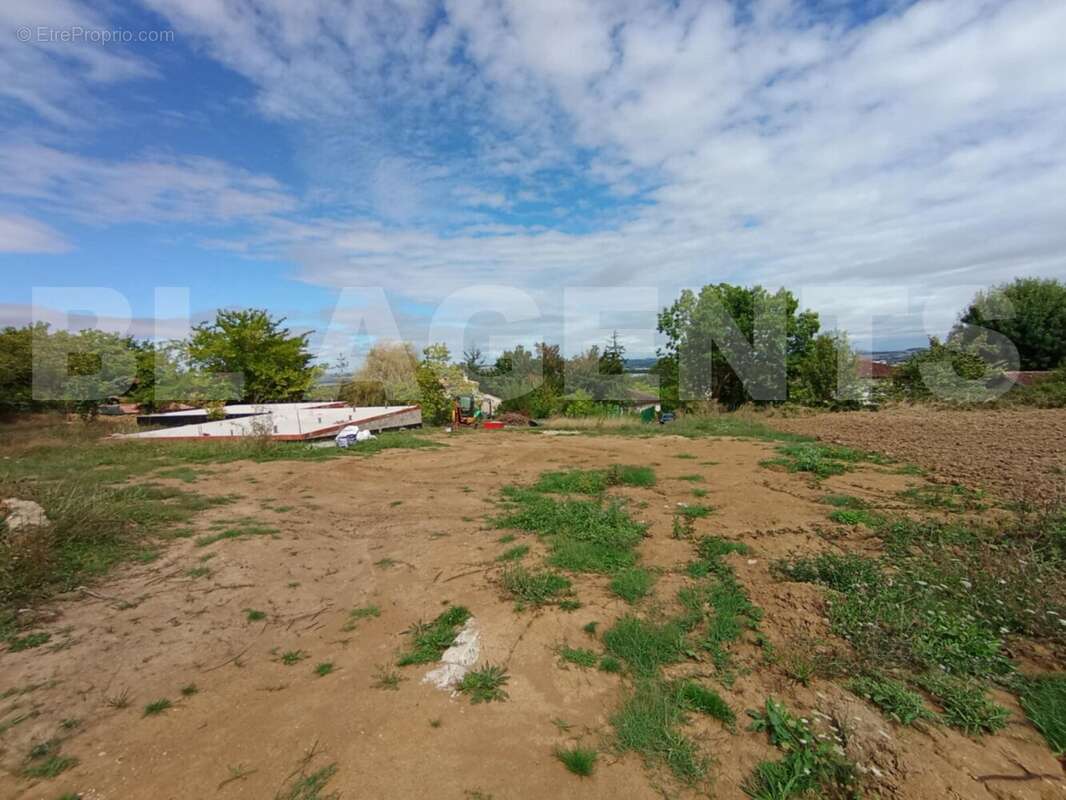 aa4299ee-a0b9-4cfe-9281-36bdad84f256 - Terrain à LAVAUR