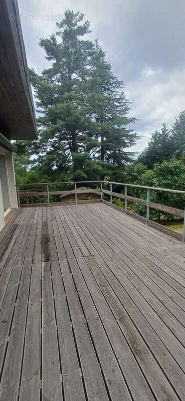 Maison 163 m² à Mourenx  - photo 4
