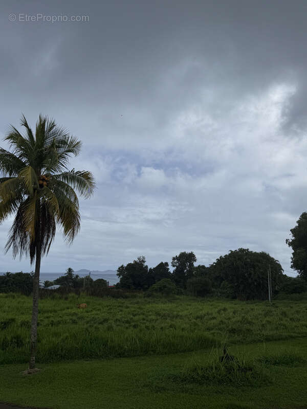 Terrain à CAPESTERRE-BELLE-EAU
