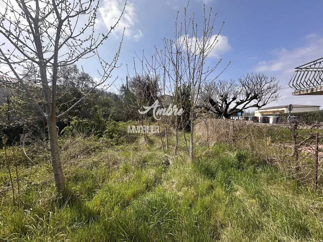 Terrain à BEAUMONT-LES-VALENCE