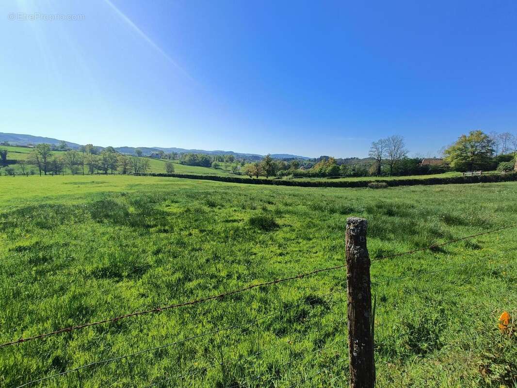 Photo 5 - Terrain à CHASSIGNY-SOUS-DUN