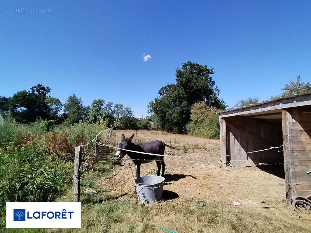 Maison avec gîte attenant - photo 17
