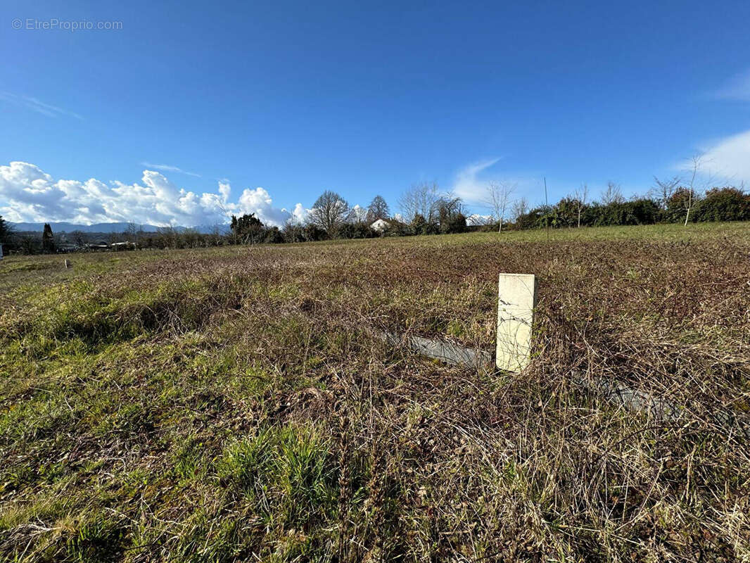Terrain à LAMARQUE-PONTACQ