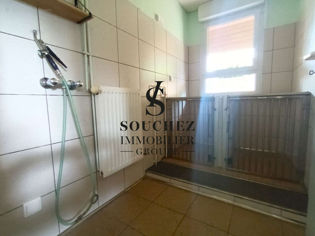 Appartement 284 m² à Rebreuve-Ranchicourt  - photo 8