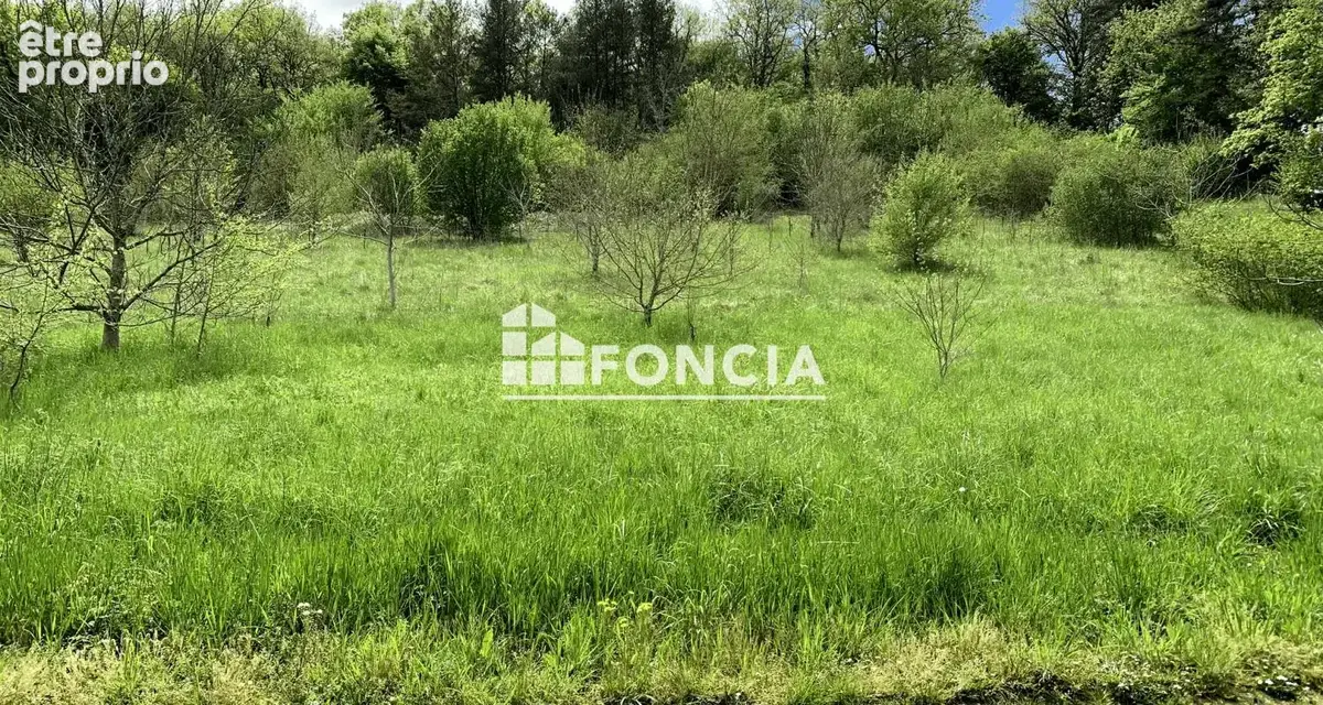Terrain constructible entre Périgueux et Bergerac – Environnement calme et commerces à pied - photo 3