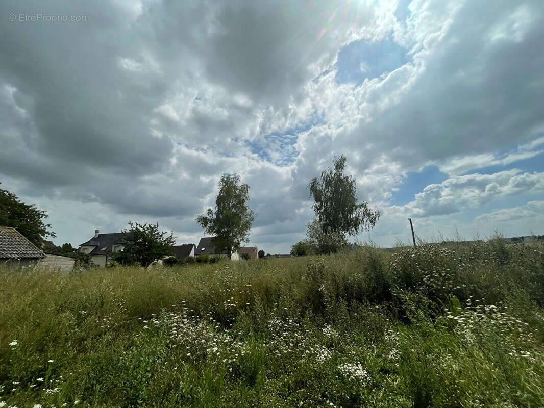 Terrain à CRISENOY