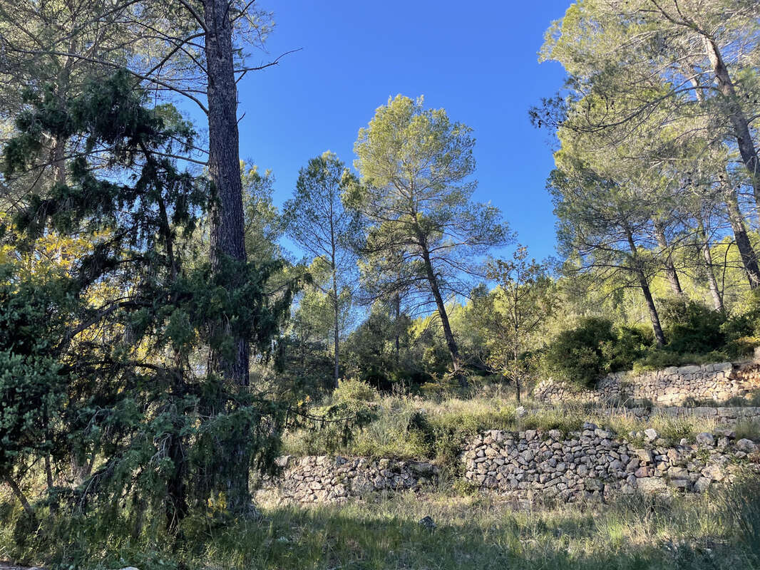 Maison à MONTFORT-SUR-ARGENS