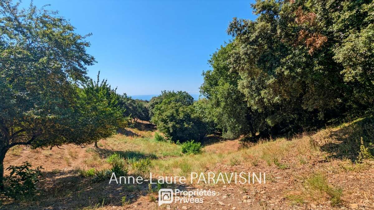 Maison, gîte indépendant et écuries sur 12 000 m² avec vue panoramique - photo 16