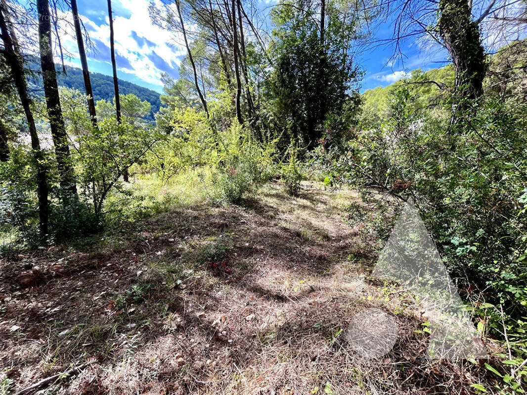 Terrain à SALERNES
