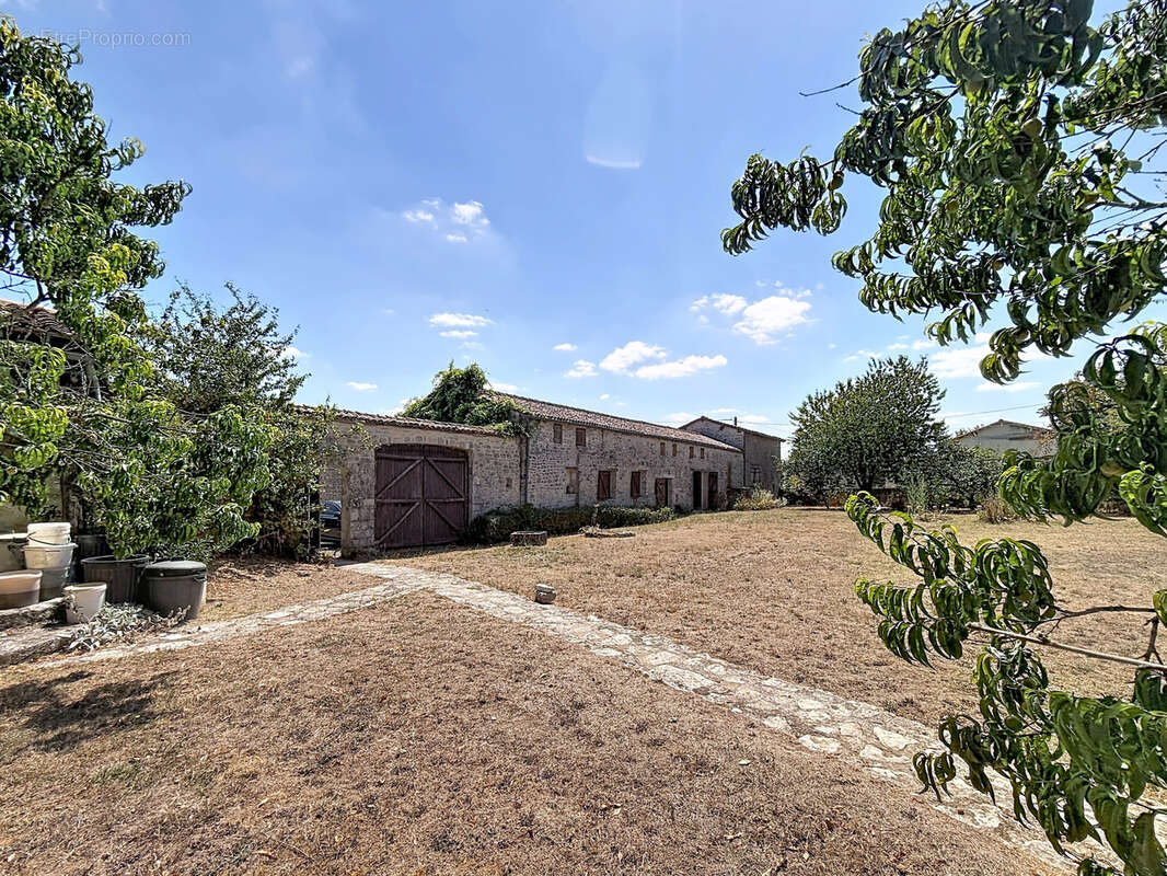 SECTEUR MANSLE : ensemble immobilier en pierres composé de 3 habitations et plusieurs dépendances sur jardin. - photo 2