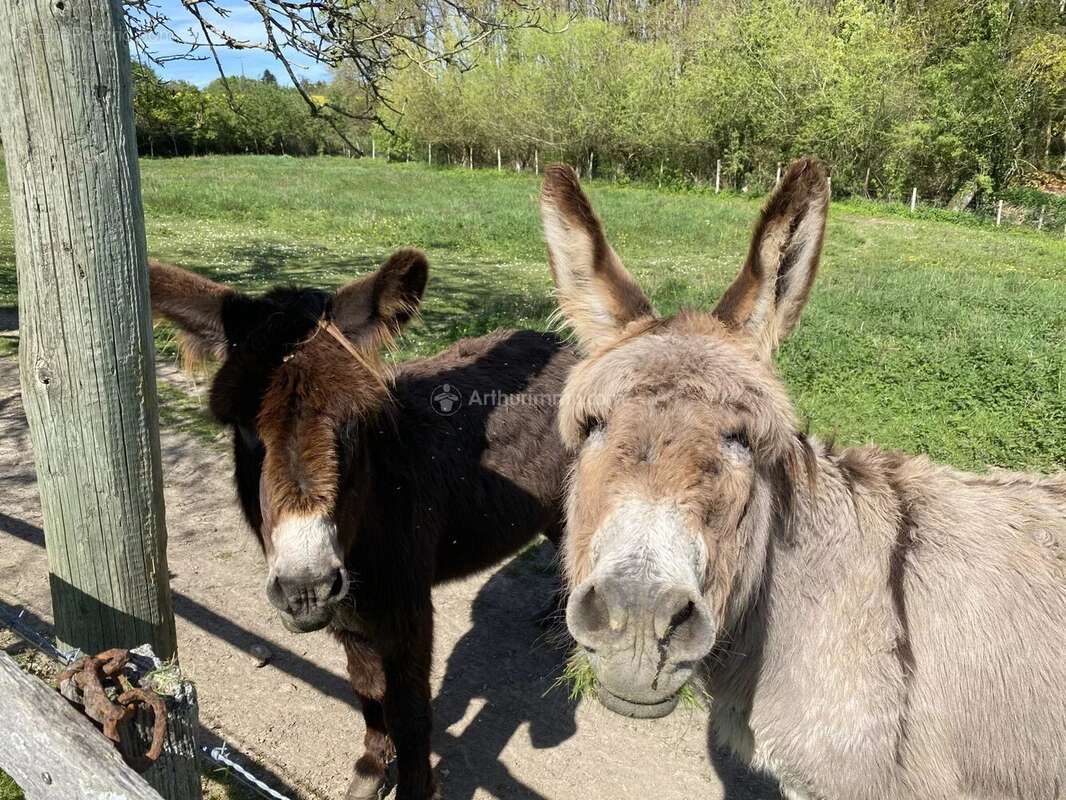 Maison à LA CHARTRE-SUR-LE-LOIR