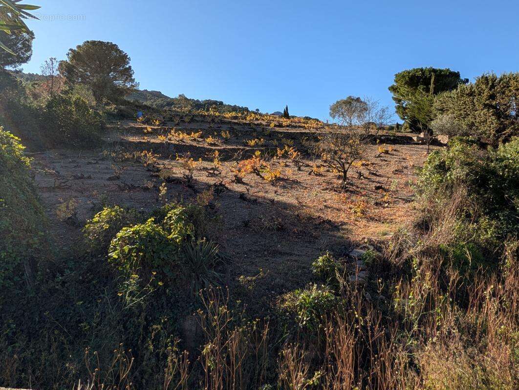 Appartement à COLLIOURE