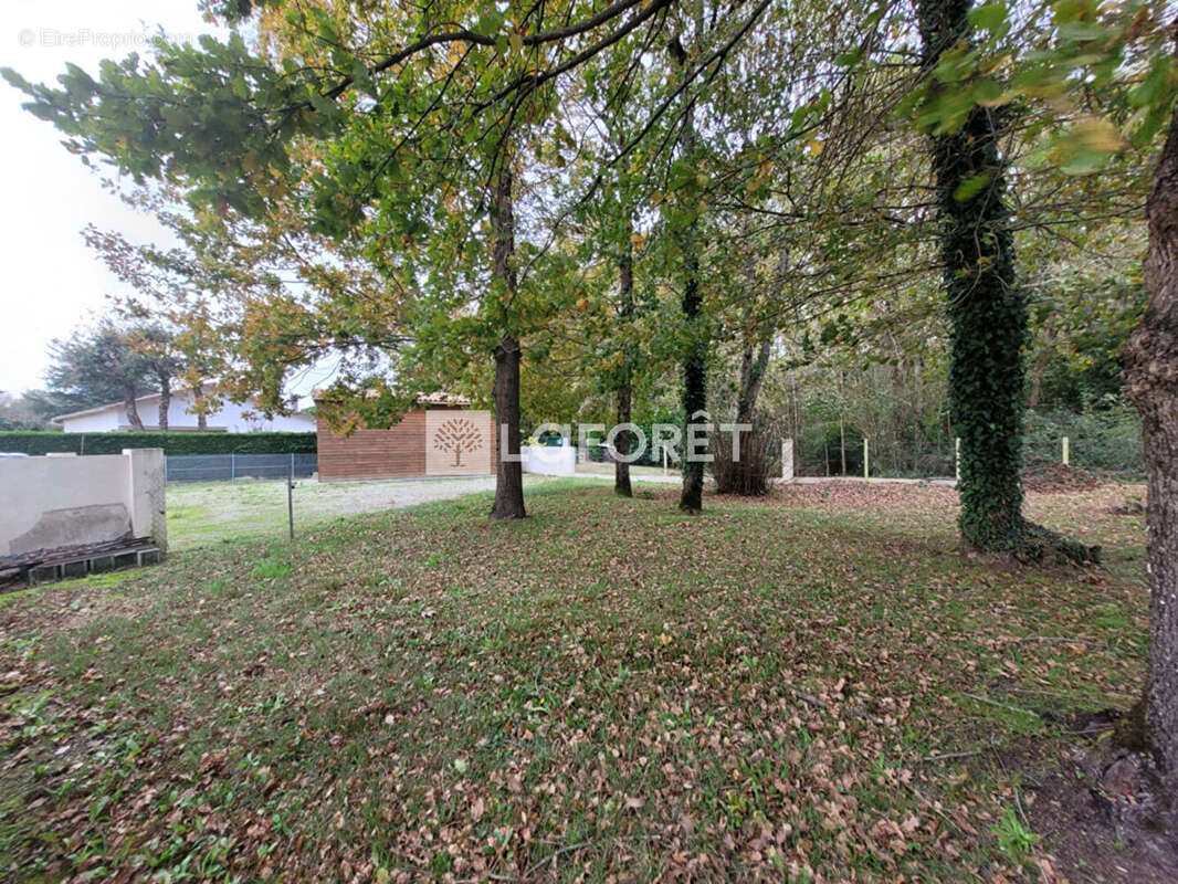 Terrain à SAINT-SULPICE-DE-ROYAN