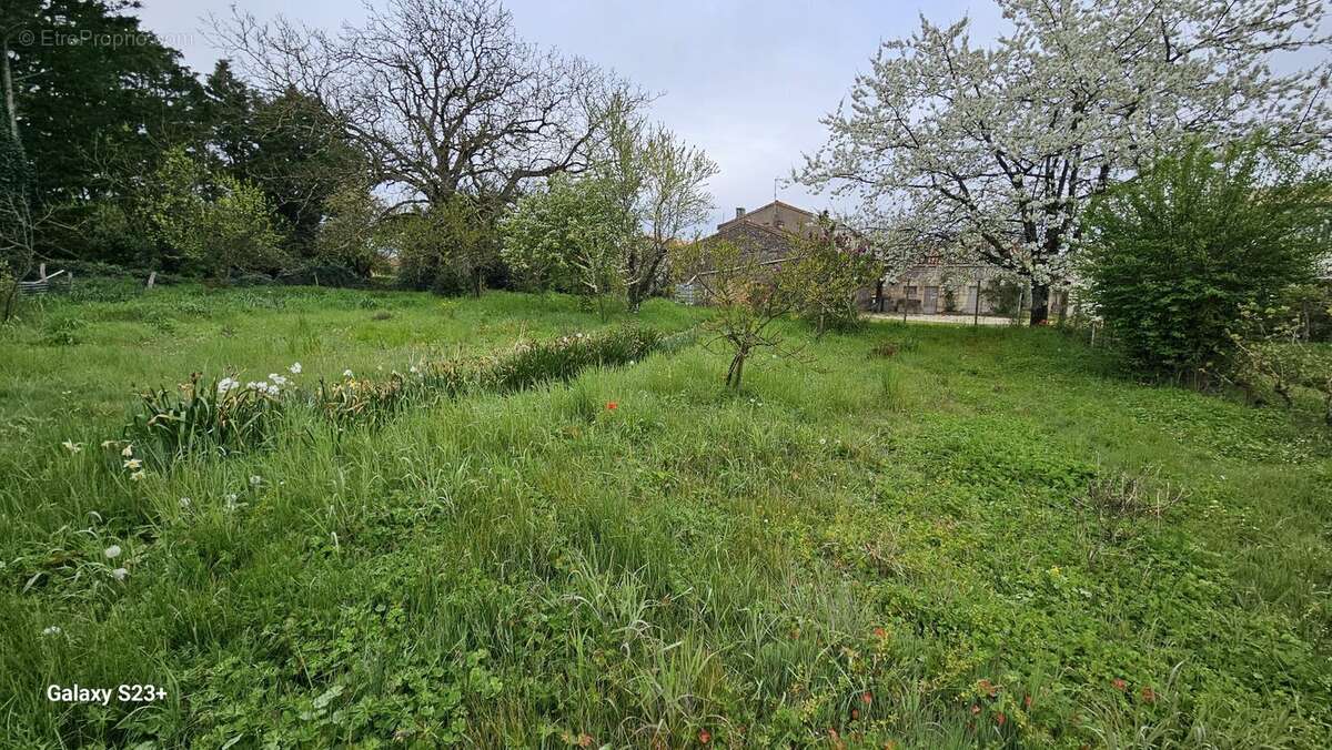 Terrain à SAINT-REMY