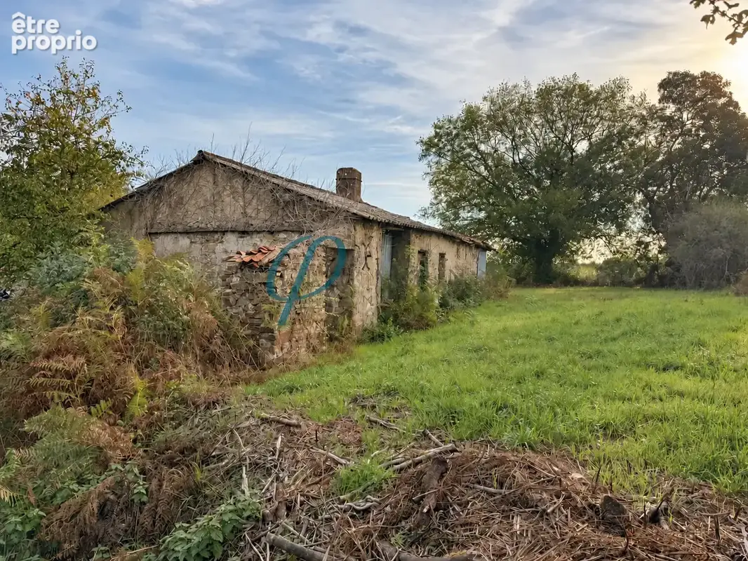 Maison à DRAIN