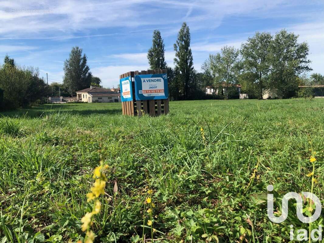 Photo 2 - Terrain à PUYLAURENS