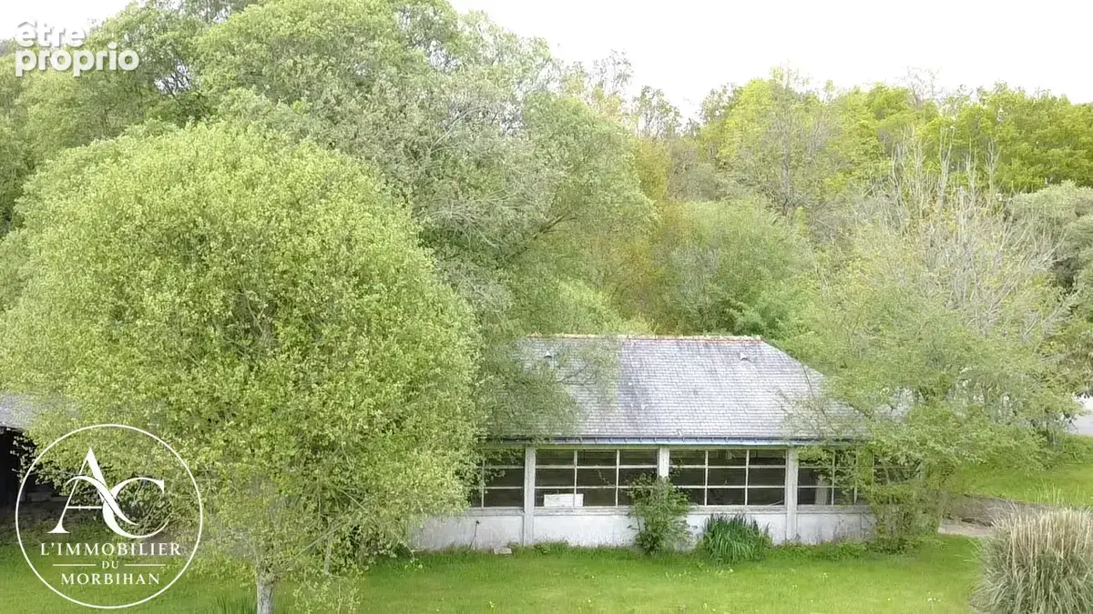Maison avec dépendances et 10 000 m2 de terrain agricole. - photo 4