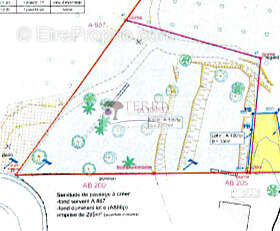 Terrain à SARI-SOLENZARA