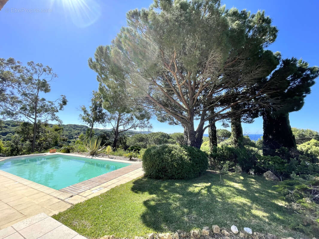 Maison à LA CROIX-VALMER