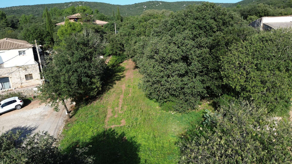 Terrain à PUECHABON