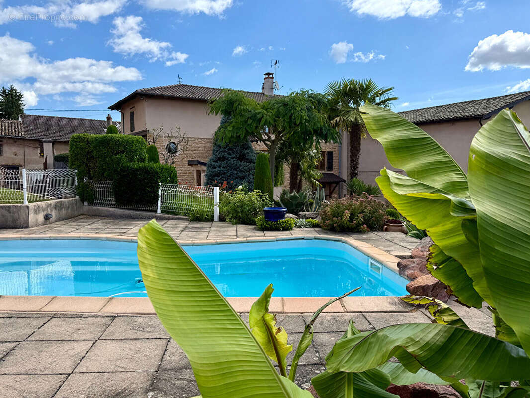 LIERGUES Maison en pierres centre village avec piscine et jardin - photo 2