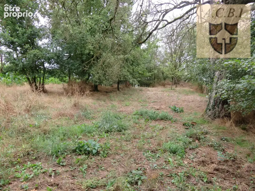 Maison de caractère renovee - photo 25