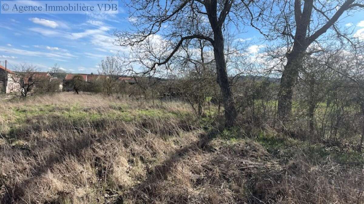 A vendre terrain viabilisé à ARRACOURT - photo 2
