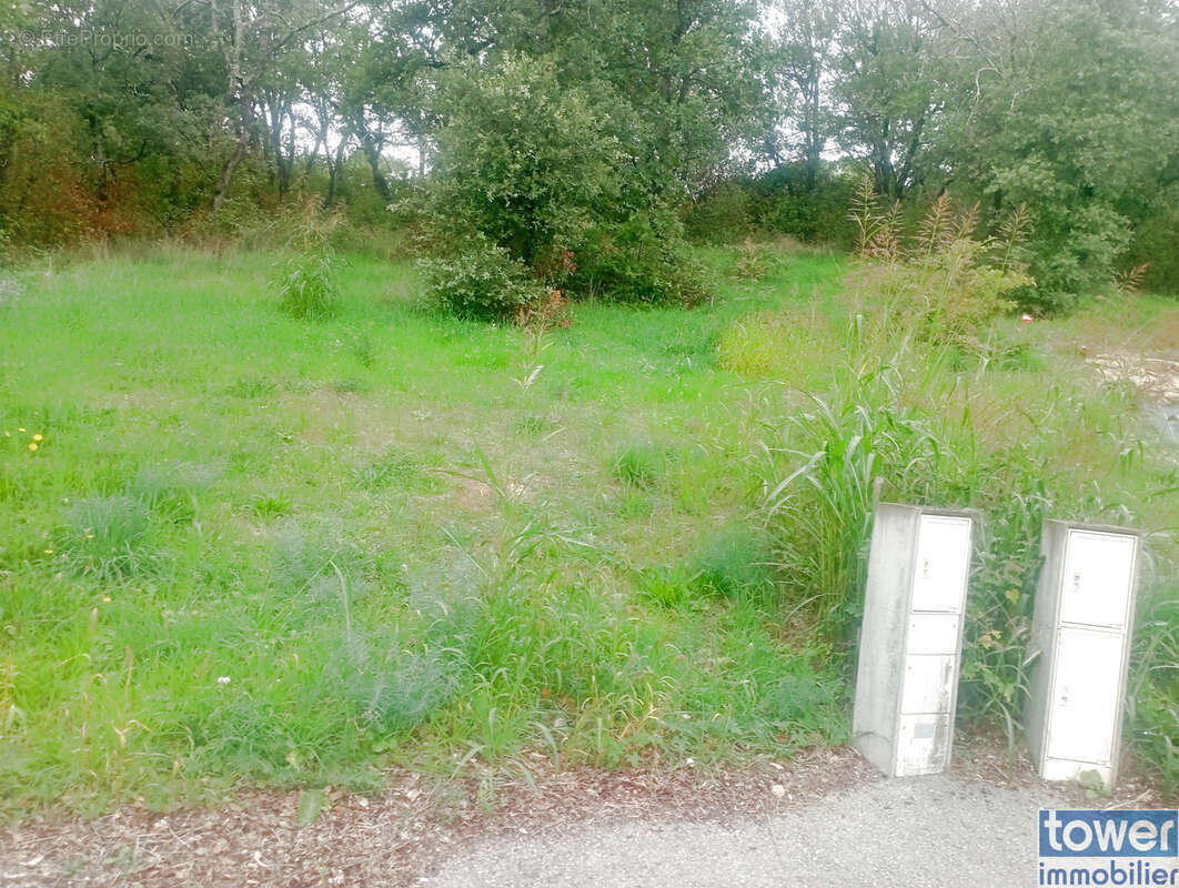 Terrain à BAGNOLS-SUR-CEZE