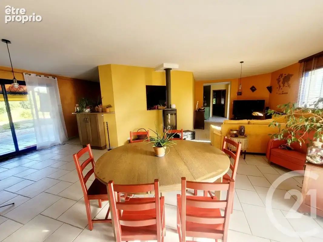 Maison 7 pièces 213 m² à vendre à La Chapelle-Naude (71500) - photo 3