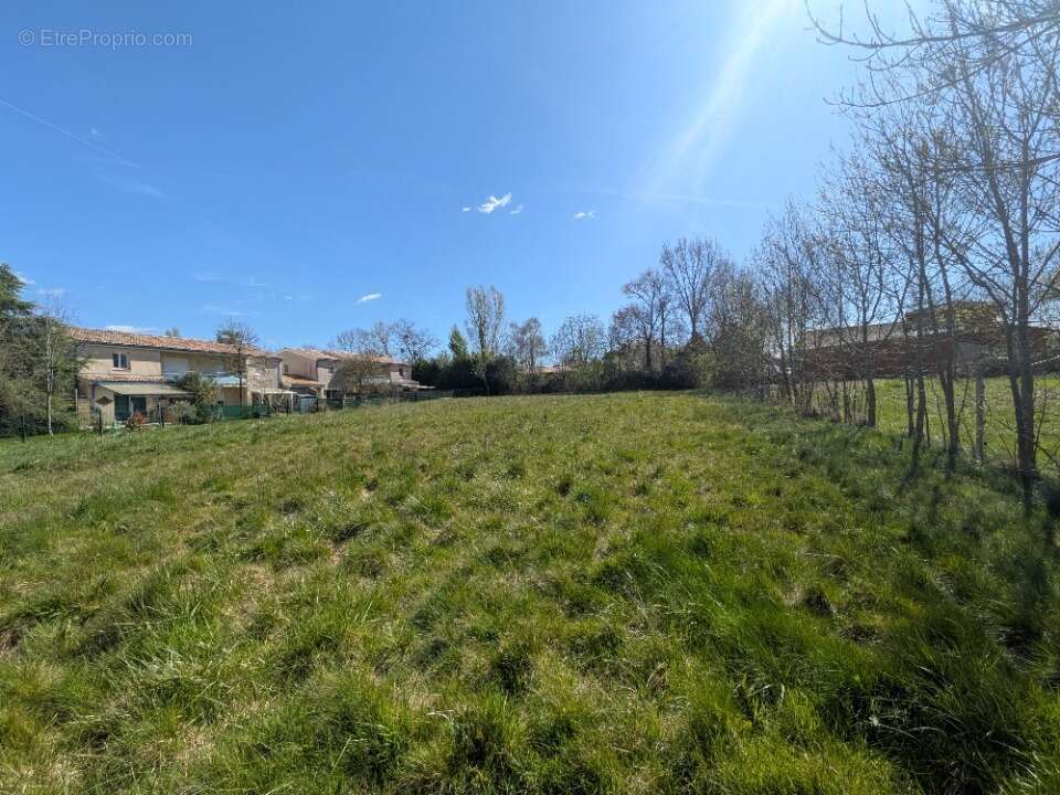 Terrain 1370 m² à Rieumes  - photo 3
